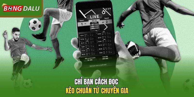 Chỉ bạn cách đọc kèo chuẩn từ chuyên gia