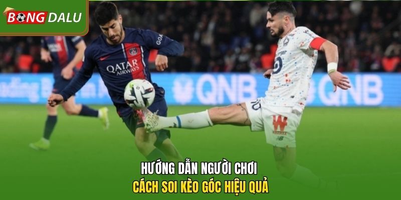 Hướng dẫn người chơi cách soi kèo góc hiệu quả
